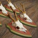 Deer antlers, 20 pieces, roe deer bucks, deer buck antlers, carved trophy signs 22.1350