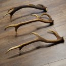 Pattes de cerf élaphe, lot de 3 pattes de cerf élaphe (pattes tombées), poids : 1,05 kg, longueur : 41 à 46 cm