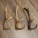 Pattes de cerf élaphe, lot de 3 pattes de cerf élaphe (pattes tombées), poids : 1,05 kg, longueur : 41 à 46 cm