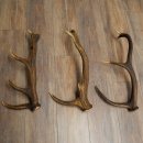 Rothirsch Stangen 3 Stück Rothirschstangen Abwurfstangen Gewicht 2,7 kg Längen 55 - 58 cm