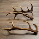 Rothirsch Stangen 3 Stück Rothirschstangen Abwurfstangen Gewicht 3,8 kg Längen 63 - 65 cm