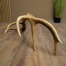 Porte-bois de cerf rouge, 14 branches, poids 1,45 kg, longueur 70 cm, bois de cerf tombé, 71.1.192