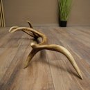 Porte-bois de cerf rouge, 14 branches, poids 1,45 kg, longueur 70 cm, bois de cerf tombé, 71.1.192