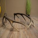 Cerf élaphe, 1 paire de bois, bois de 10 pointes, poids : 4,65 kg