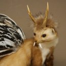 Martre Wolpertinger avec bois de cerf Barre Wolpi...