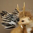 Martre Wolpertinger avec bois de cerf Barre Wolpi Préparation bois de chevreuil et dents Hauteur 47 cm 86.10.19