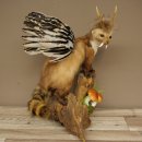 Martre Wolpertinger avec bois de cerf Barre Wolpi Préparation bois de chevreuil et dents Hauteur 47 cm 86.10.19
