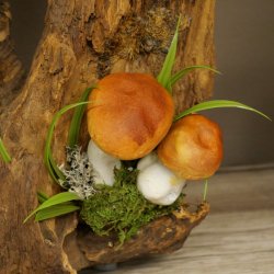 Martre Wolpertinger avec bois de cerf Barre Wolpi Préparation bois de chevreuil et dents Hauteur 47 cm 86.10.19