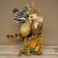 Martre Wolpertinger avec bois de cerf Barre Wolpi Préparation bois de chevreuil et dents Hauteur 47 cm 86.10.19