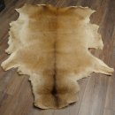 Piel de ciervo rojo Longitud 157 cm Ciervo Alfombra decorativa de piel de ciervo 87.3.37