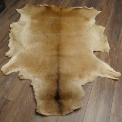 Piel de ciervo rojo Longitud 157 cm Ciervo Alfombra decorativa de piel de ciervo 87.3.37