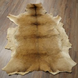 Piel de ciervo rojo Longitud 157 cm Ciervo Alfombra decorativa de piel de ciervo 87.3.37