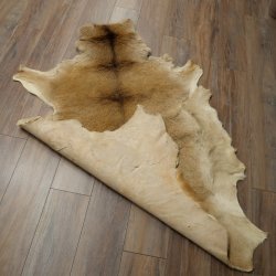 Piel de ciervo rojo Longitud 157 cm Ciervo Alfombra decorativa de piel de ciervo 87.3.37