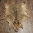 Warthog Fur Rug, 149 cm Long, African Warthog Rug