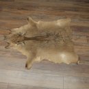 Warthog Fur Rug, 149 cm Long, African Warthog Rug