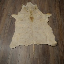 Warthog Fur Rug, 149 cm Long, African Warthog Rug