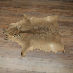 Warthog Fur Rug, 149 cm Long, African Warthog Rug