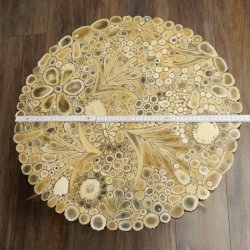 Tavolo da cerimonia con 4 montanti in corno di cervo rosso e piano in vetro ESG 8 mm 99.2.9