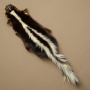 Stinkdiervacht Streifenskunk (Mephitis) Vloerkleed 87.50.20