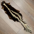 Skunk Fur Striped Skunk (Mephitis) Runner Rug 87.50.20