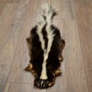 Skunk Fur Striped Skunk (Mephitis) Runner Rug 87.50.20