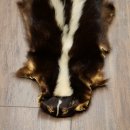 Skunk Fur Striped Skunk (Mephitis) Runner Rug 87.50.20