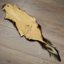 Skunk Fur Striped Skunk (Mephitis) Runner Rug 87.50.20
