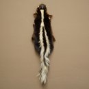 Skunk Fur Striped Skunk (Mephitis) Runner Rug 87.50.20