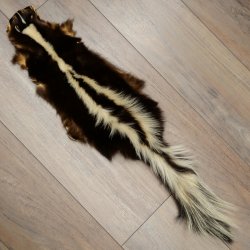 Skunk Fur Striped Skunk (Mephitis) Runner Rug 87.50.20