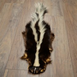 Skunk Fur Striped Skunk (Mephitis) Runner Rug 87.50.20