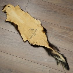 Skunk Fur Striped Skunk (Mephitis) Runner Rug 87.50.20