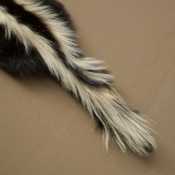 Skunk Fur Striped Skunk (Mephitis) Runner Rug 87.50.20