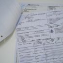 Babbuino Babbuino Teschio Scimmia Lunghezza 22 cm Babbuino con certificato di provenienza