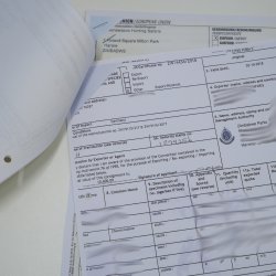 Babbuino Babbuino Teschio Scimmia Lunghezza 22 cm Babbuino con certificato di provenienza