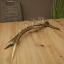 Schnapsleverancier 5x kleine glazen met steel op...