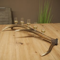 Schnapsleverancier 5x kleine glazen met steel op edelhertenstang Cadeau 27.60.2.57