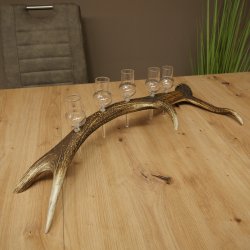 Schnapsleverancier 5x kleine glazen met steel op edelhertenstang Cadeau 27.60.2.57