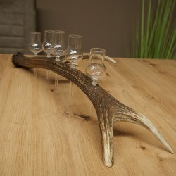 Schnapsleverancier 5x kleine glazen met steel op edelhertenstang Cadeau 27.60.2.57