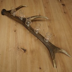 Schnapsleverancier 5x kleine glazen met steel op edelhertenstang Cadeau 27.60.2.57
