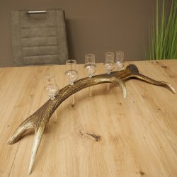 Schnapsleverancier 5x kleine glazen met steel op edelhertenstang Cadeau 27.60.2.57