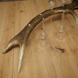 Schnapsleverancier 5x kleine glazen met steel op edelhertenstang Cadeau 27.60.2.57