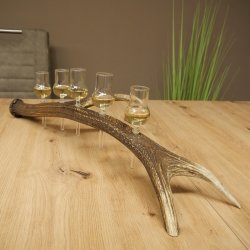 Schnapsleverancier 5x kleine glazen met steel op edelhertenstang Cadeau 27.60.2.57