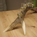 Schnapsleverancier 5x kleine glazen met steel op edelhertenstang Cadeau 27.60.2.57