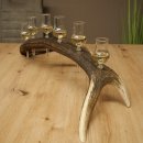 Schnapsleverancier 5x kleine glazen met steel op edelhertenstang Cadeau 27.60.2.57
