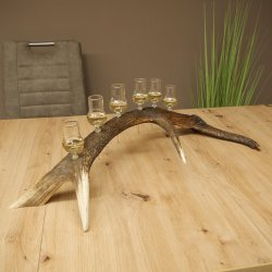 Schnapsleverancier 5x kleine glazen met steel op edelhertenstang Cadeau 27.60.2.57
