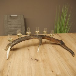 Schnapsleverancier 5x kleine glazen met steel op edelhertenstang Cadeau 27.60.2.57