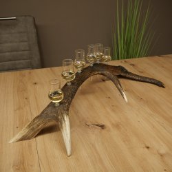 Schnapsleverancier 5x kleine glazen met steel op edelhertenstang Cadeau 27.60.2.57