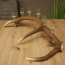 Schnapsleverancier 5x kleine glazen met steel op...