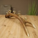 Schnapsleverancier 5x kleine glazen met steel op edelhertenstang Cadeau 27.60.2.57