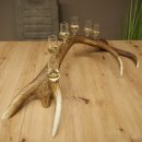 Schnapsleverancier 5x kleine glazen met steel op edelhertenstang Cadeau 27.60.2.57